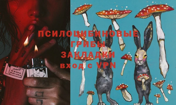 PSILOCYBIN Беломорск